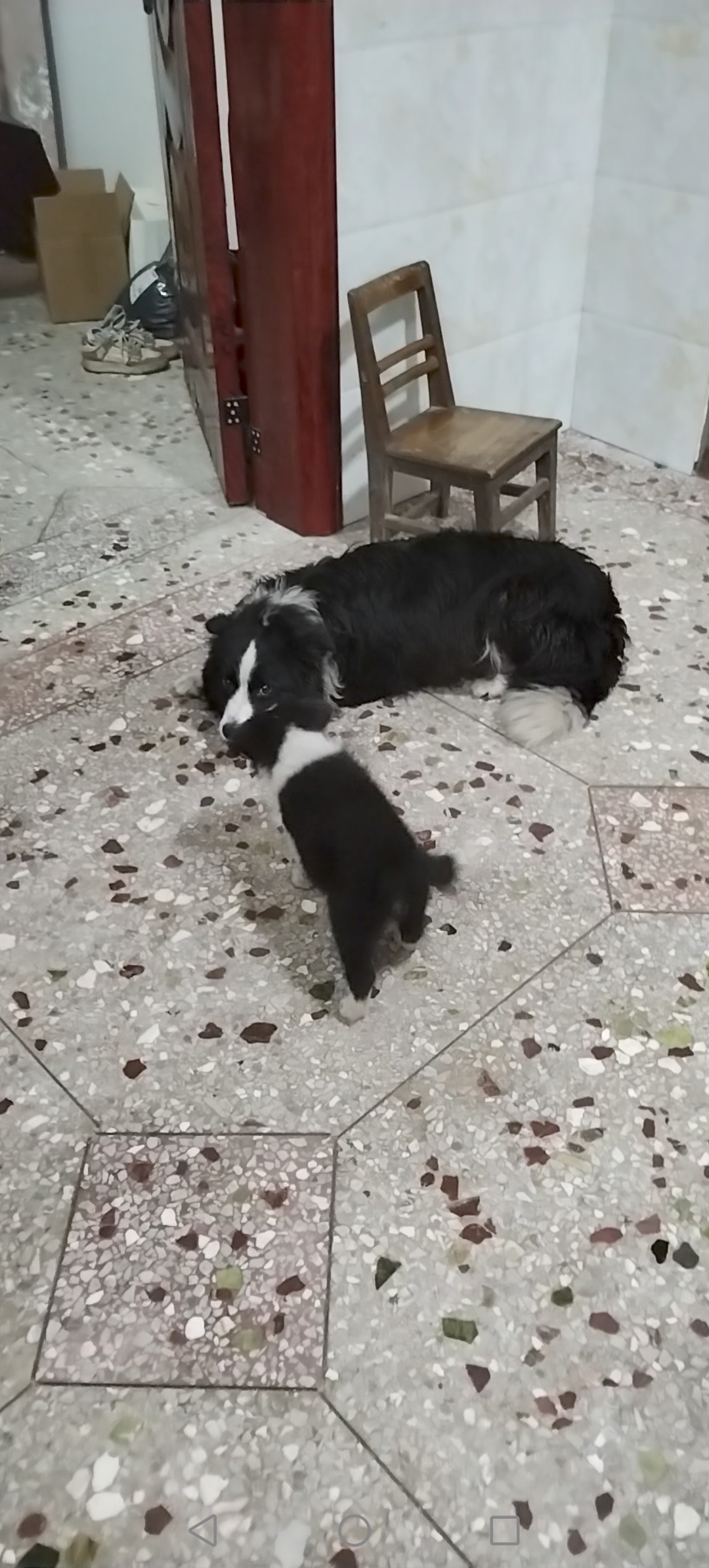 小牧牧